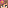LittlePhishBoi+mc